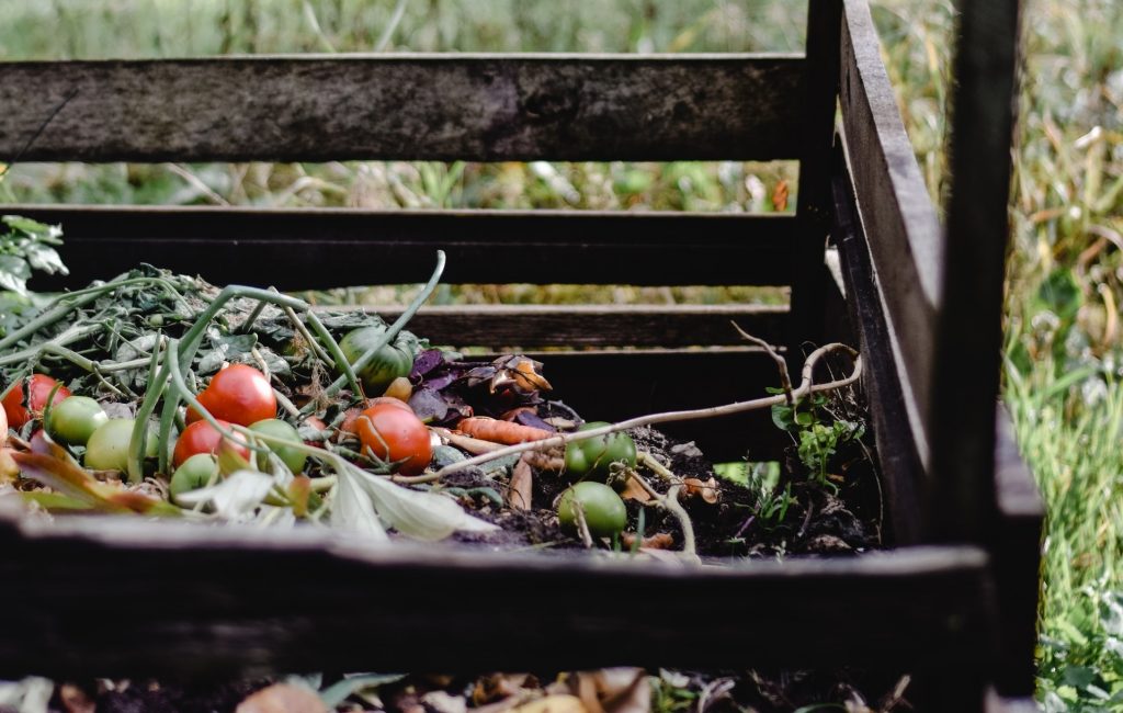 plytvanie potravinami